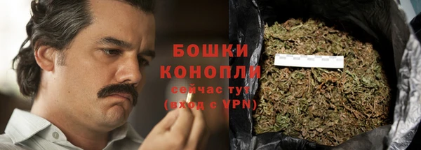 дмт Дмитров
