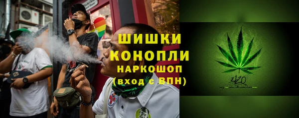 дмт Дмитров