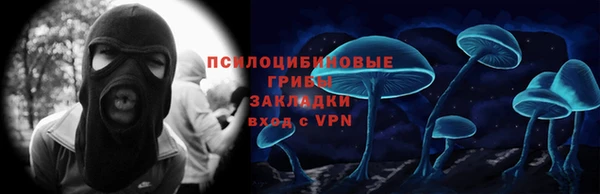 дмт Дмитров