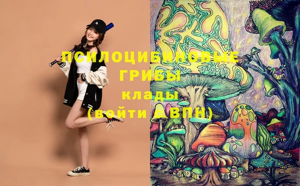 круглые Дмитриев