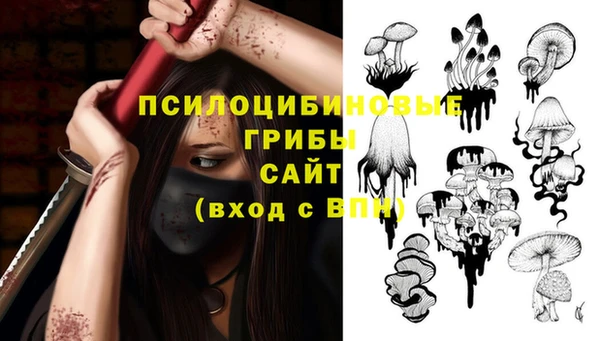 круглые Дмитриев